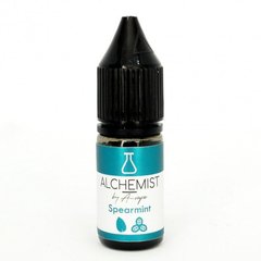 Spearmint Salt | М'ятна жуйка + Базилік - Alchemist  (10 мл)